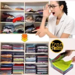 Prakticni organozator